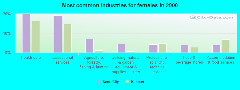 Most common industries for females in 2000