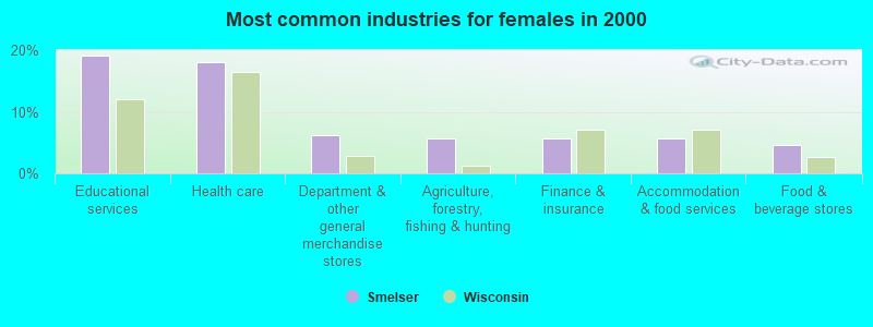 Most common industries for females in 2000