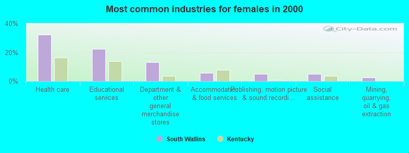 Most common industries for females in 2000