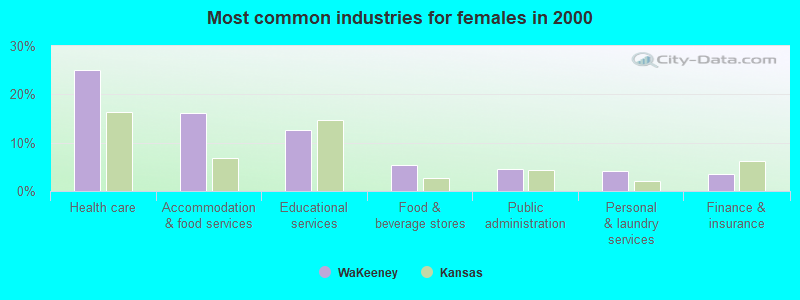 Most common industries for females in 2000