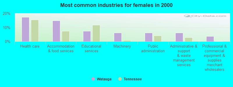 Most common industries for females in 2000