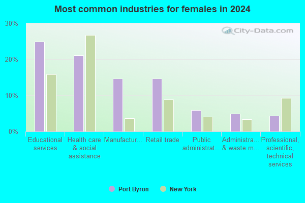 Port Byron, New York (NY 13140) profile: population, maps, real estate ...