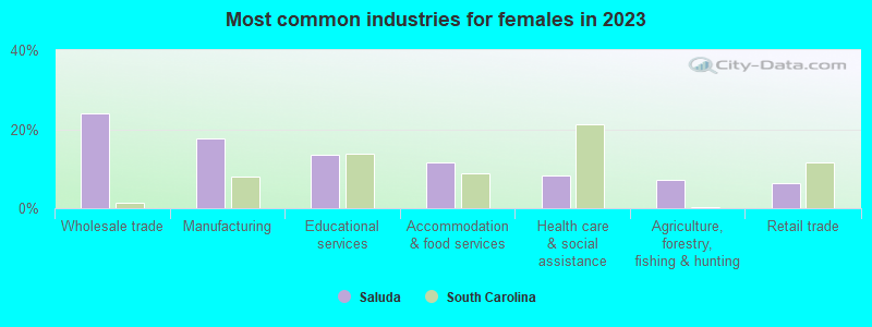 Most common industries for females in 2023