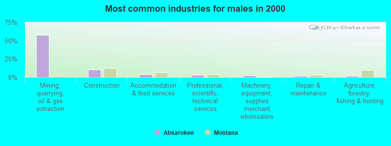 Most common industries for males in 2000