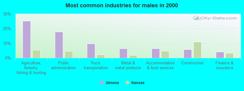 Most common industries for males in 2000