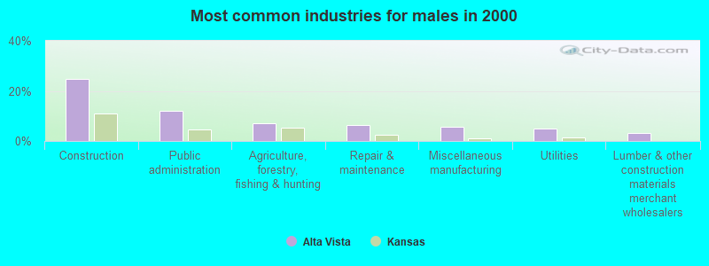 Most common industries for males in 2000