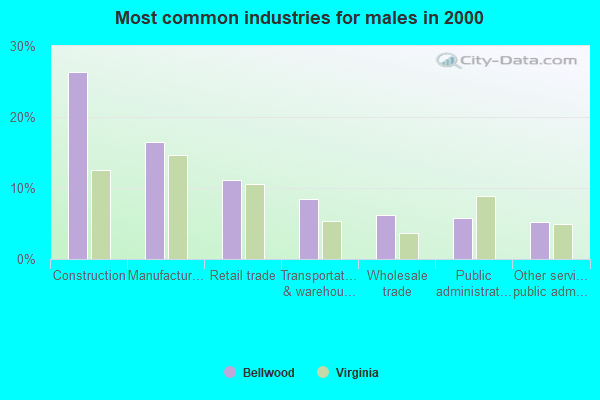 Bellwood, Virginia (VA 23234, 23237) profile population, maps, real