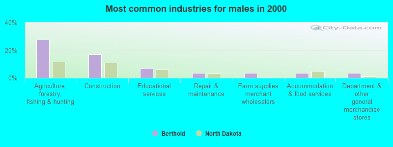 Most common industries for males in 2000