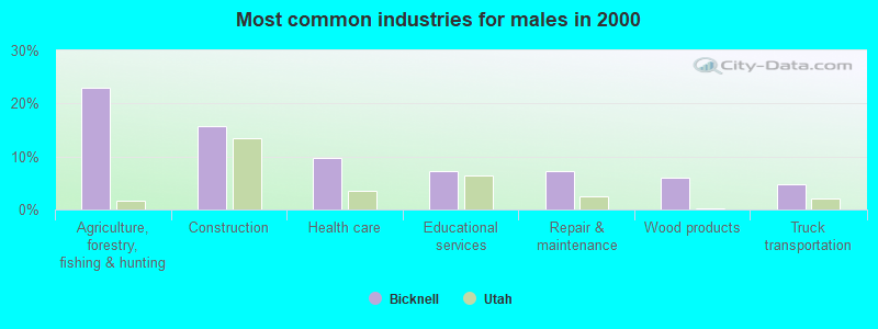 Most common industries for males in 2000