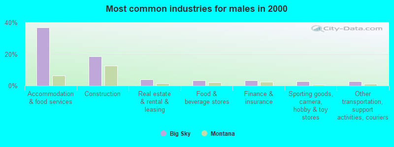 Most common industries for males in 2000