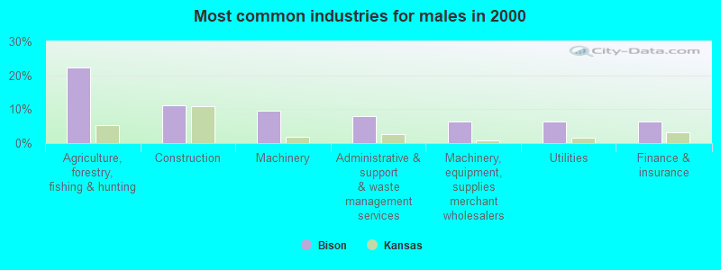 Most common industries for males in 2000