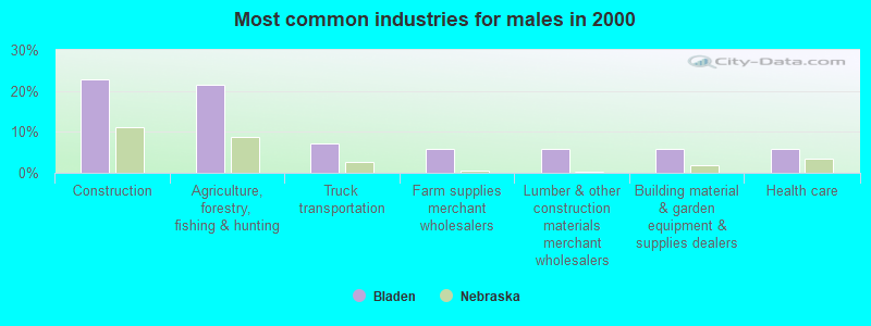 Most common industries for males in 2000