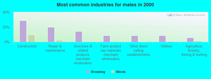 Most common industries for males in 2000