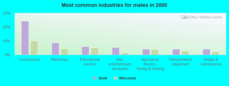 Most common industries for males in 2000