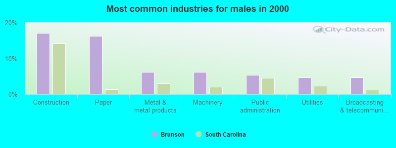 Most common industries for males in 2000