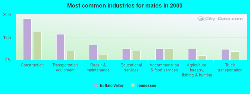 Most common industries for males in 2000