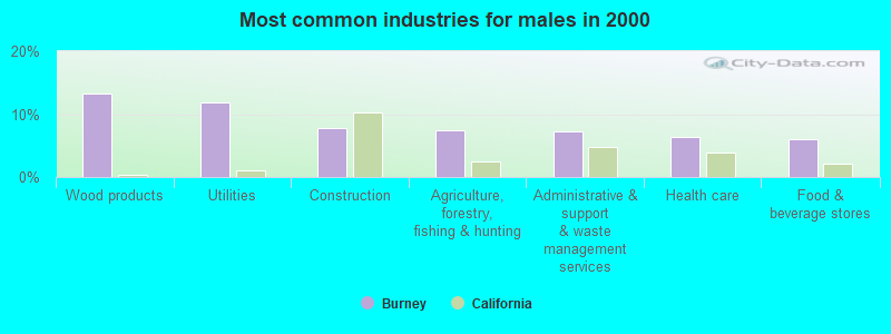 Most common industries for males in 2000