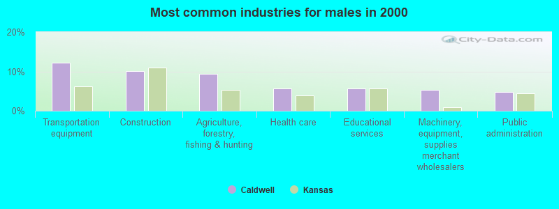 Most common industries for males in 2000