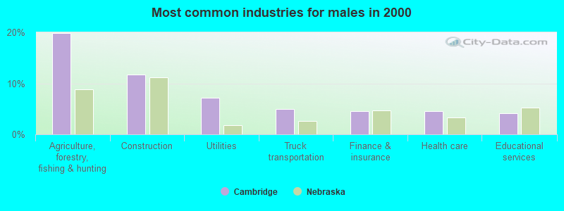 Most common industries for males in 2000