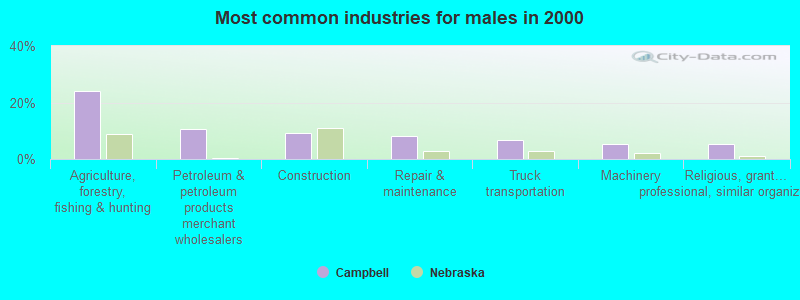 Most common industries for males in 2000