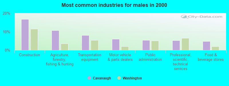 Most common industries for males in 2000