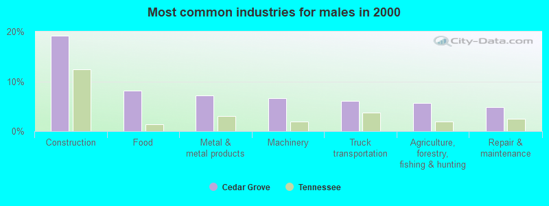 Most common industries for males in 2000