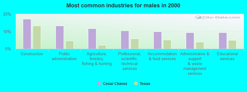 Most common industries for males in 2000