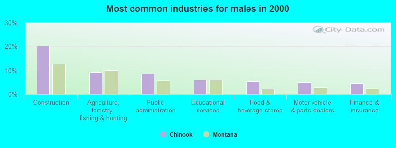 Most common industries for males in 2000