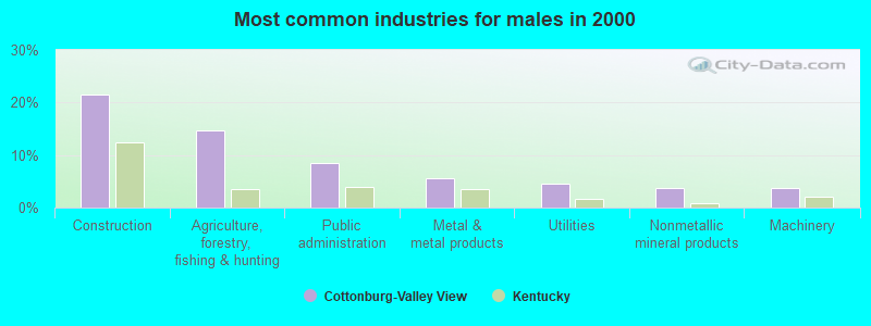 Most common industries for males in 2000