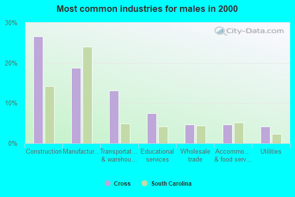Cross, South Carolina (SC 29436) profile: population, maps, real estate ...