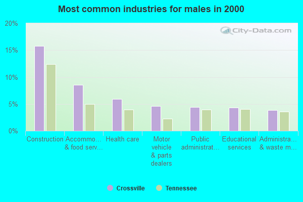 Crossville Tennessee TN 38572 Profile Population Maps Real Estate   Common Industries Males 2000 Crossville TN Small 