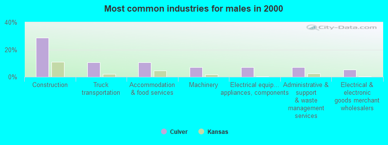 Most common industries for males in 2000