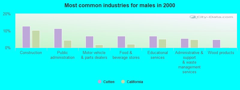 Most common industries for males in 2000