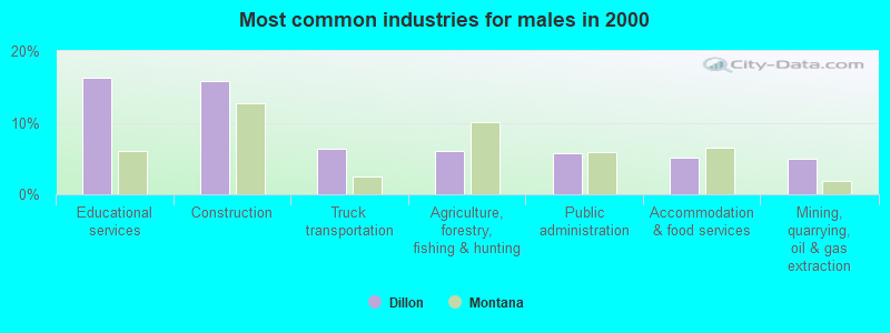 Most common industries for males in 2000