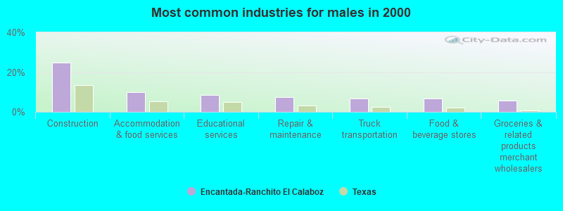 Most common industries for males in 2000