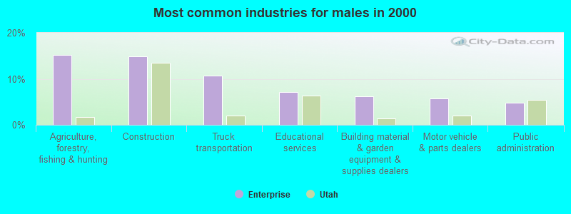 Most common industries for males in 2000