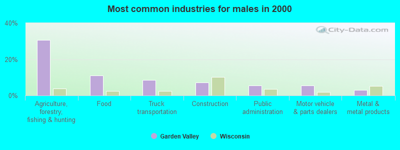 Most common industries for males in 2000