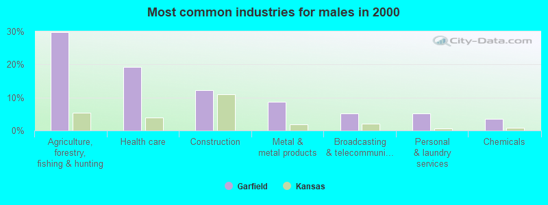 Most common industries for males in 2000