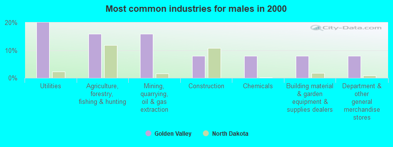 Most common industries for males in 2000