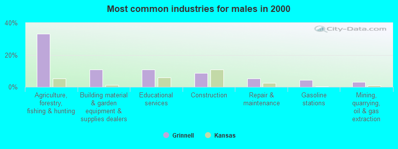 Most common industries for males in 2000