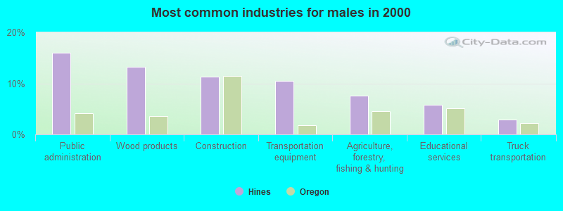 Most common industries for males in 2000