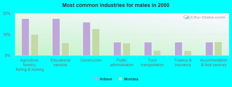 Most common industries for males in 2000