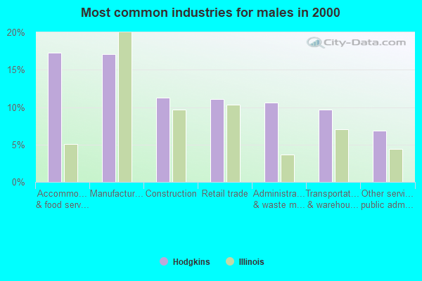 Hodgkins, Illinois (IL 60480) profile population, maps, real estate