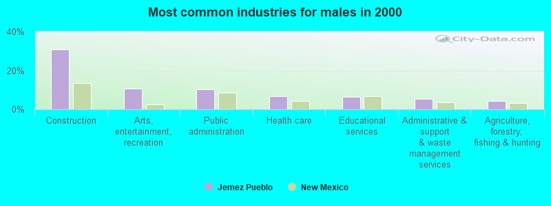 Most common industries for males in 2000