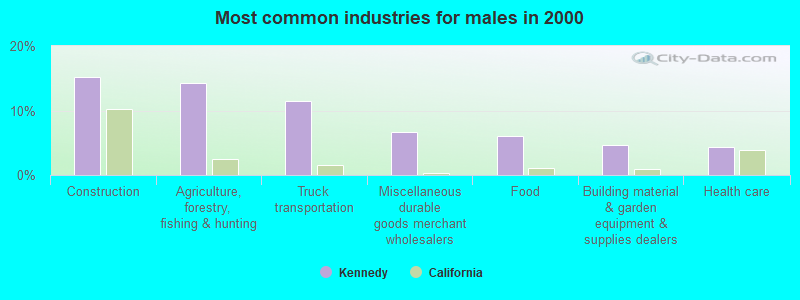 Most common industries for males in 2000