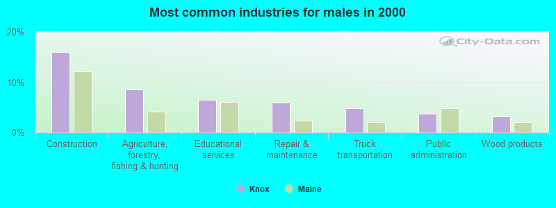 Most common industries for males in 2000