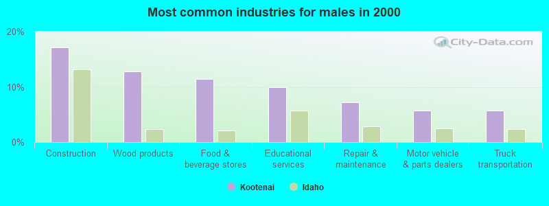 Most common industries for males in 2000