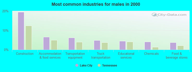 Most common industries for males in 2000