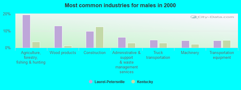 Most common industries for males in 2000