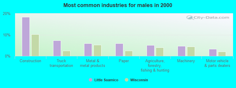 Most common industries for males in 2000
